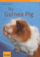My_guinea_pig