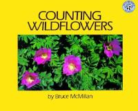 Counting_wildflowers