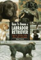 Labrador_Retriever