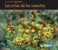 Bug_parts__Las_crias_de_los_insectos