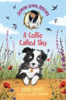 A_collie_called_Sky