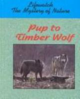 Pup_to_timber_wolf