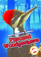 Pileated_woodpeckers