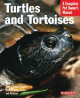 Turtles_and_tortoises
